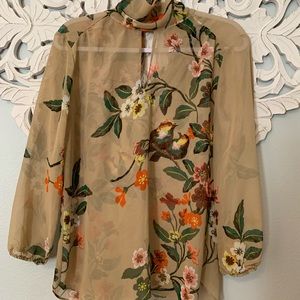 Sheer women’s blouse with tie back detail